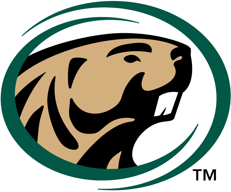 Bemidji State Beavers 2004-Pres Primary Logo vinyl decal